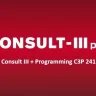 Nissan Consult III + Programming С3P 241.20 Full