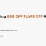Tunning EGR DPF FLAPS OFF Manual Solution